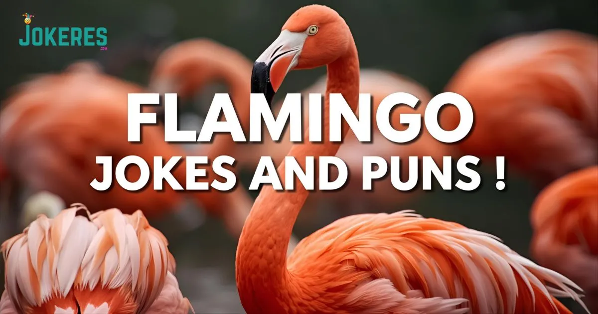 Flamingo Jokes and Puns